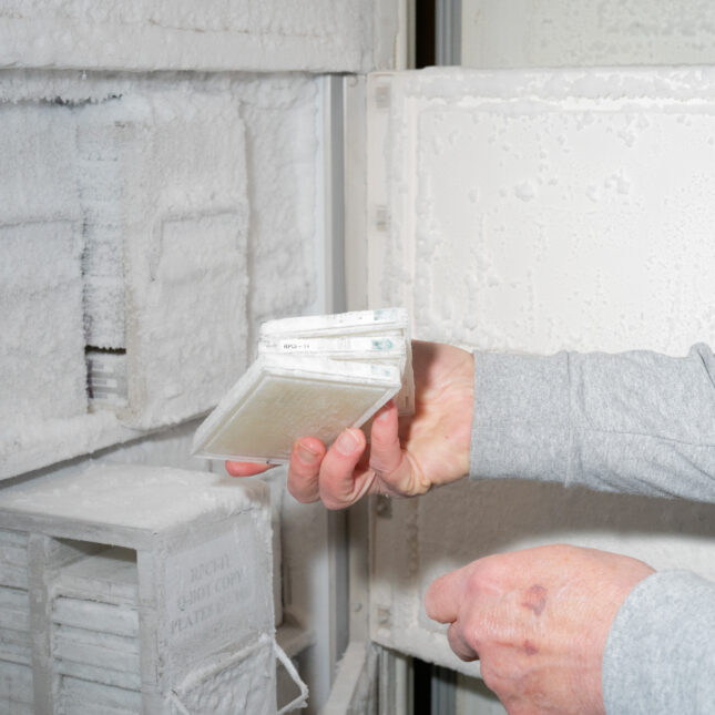 Pieter De Jong shows human male DNA samples from a freezer at his home on Wednesday, July 3, 2024, in Redmond, Wash.