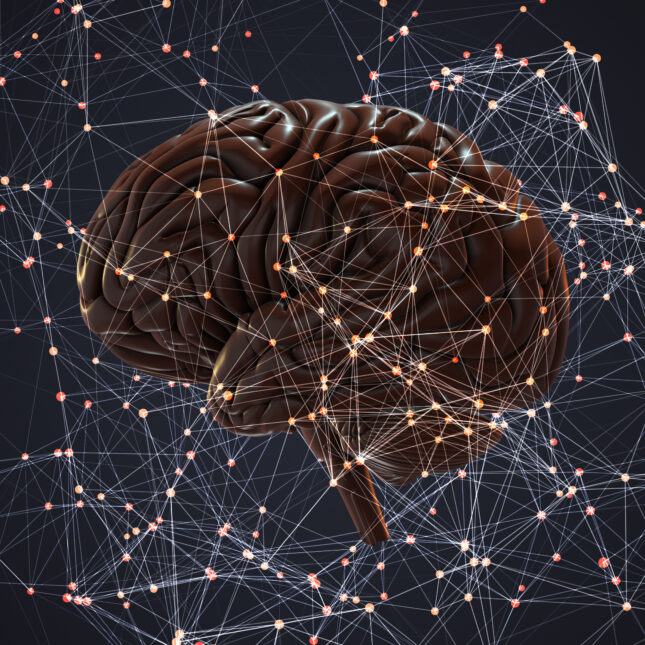 A stock illustration of a brain overlaid by a web of lines and dots to express the idea of overstimulation or illness in the brain