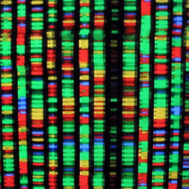 A digital representation of the human genome.