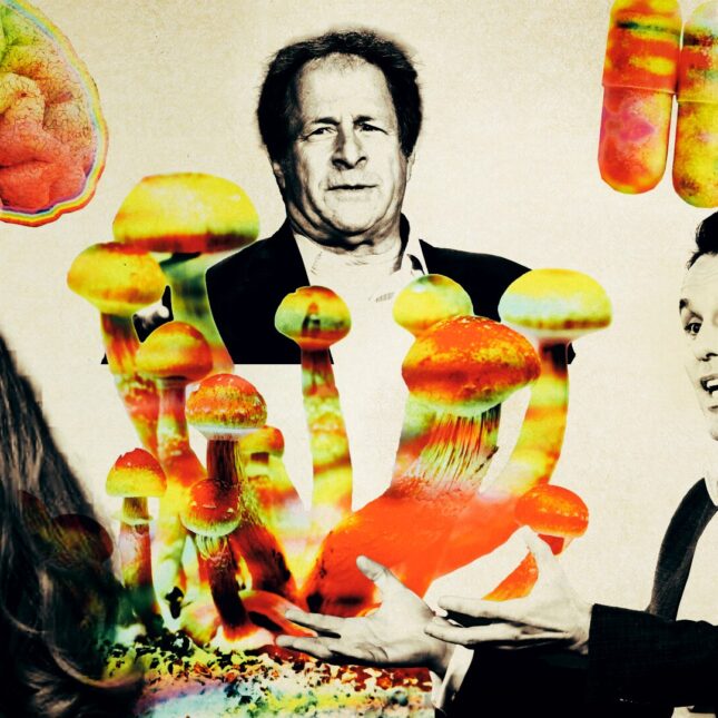 A colorful photo illustration featuring three portraits of people featured on this list and images of psilocybin mushrooms, a brain, and pills